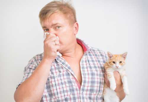 При тяжелом течении аллергии появляется сухой кашель с затруднением дыхания и хрипами, отек губ, языка и гортани отек
